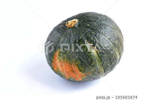 栗カボチャ 105603874