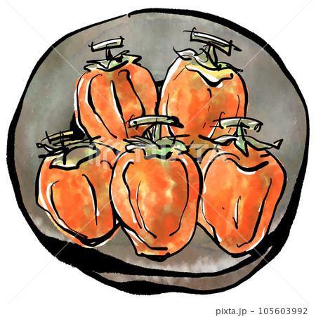 干し柿の手描きイラスト（筆書き水彩墨絵風） 105603992