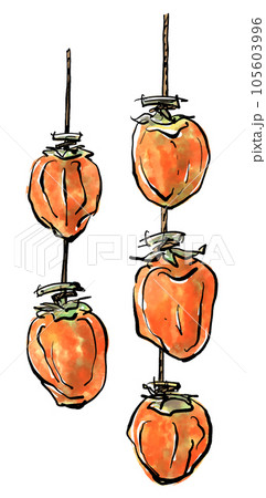 干し柿の手描きイラスト（筆書き水彩墨絵風） 105603996