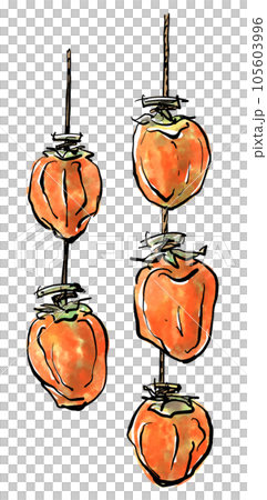 Hand-drawn illustration of dried persimmon (brush writing watercolor sumi-e style) 105603996