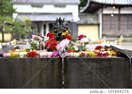 花手水 105604278