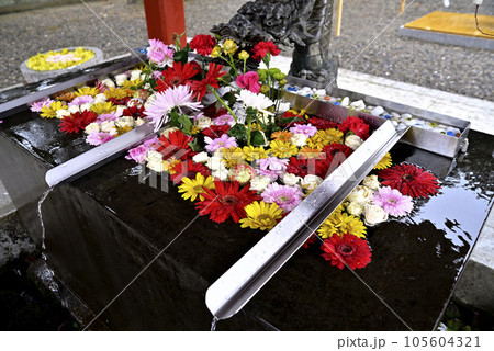 花手水 105604321