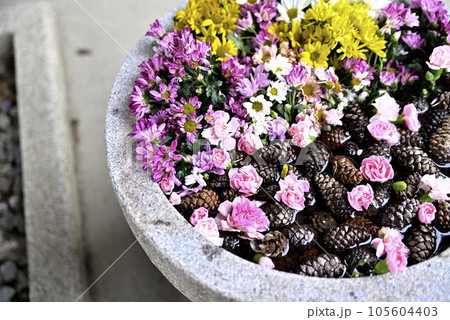 花手水 花手水 105604403