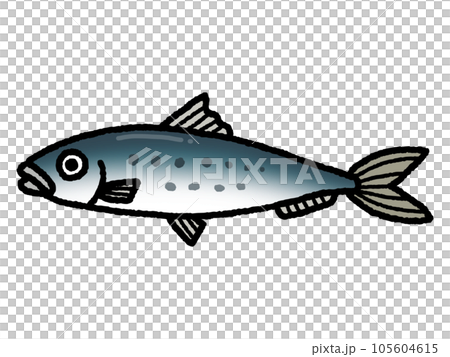 鰯・イワシ・魚 105604615