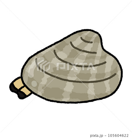 アサリ・貝 アサリ・貝 105604622