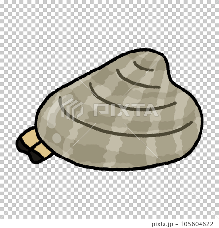 アサリ・貝 アサリ・貝 105604622