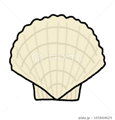 帆立・ホタテ・貝 105604625