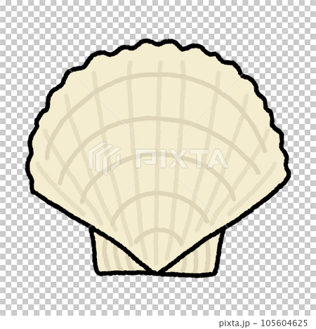 帆立・ホタテ・貝 105604625