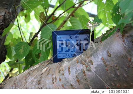 8月、日中に桜の木の枝に置いたデジタル温湿度計 8月、日中に桜の木の枝に置いたデジタル温湿度計 105604634