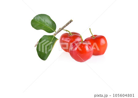 Acerola small cherry fruit with leaf isolated on white background. Acerola small cherry fruit with leaf isolated on white background. 105604801