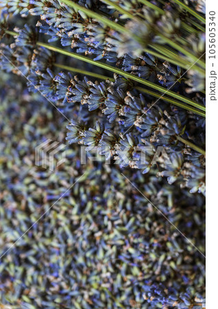 Dried lavender flowers on a wooden plate. Dried lavender flowers on a wooden plate. 105605340