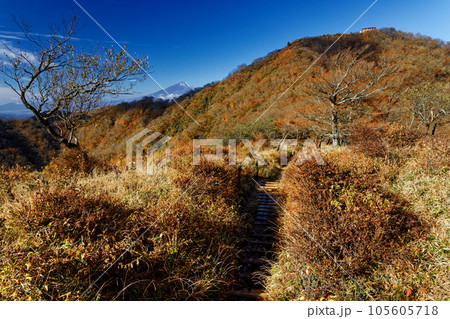 晩秋の丹沢表尾根から見る塔ノ岳と富士山 105605718