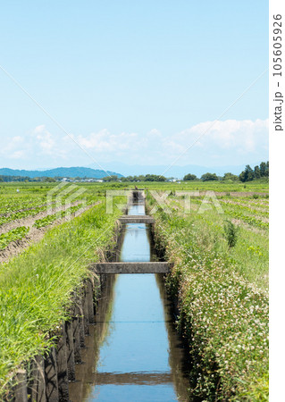 日本の田舎の用水路 日本の田舎の用水路 105605926