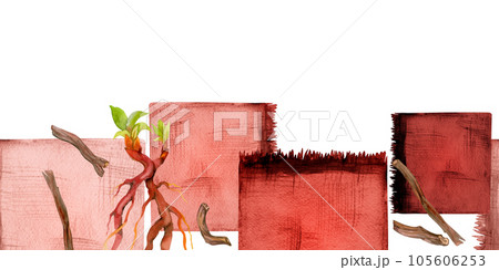 Hand drawn watercolor madder root coloring natural plant dye, hobby materials, handmade fabric. Illustration isolated seamless banner, white background. Shop logo, website, business card, booklet Hand drawn watercolor madder root coloring natural plant dye, hobby materials, handmade fabric. Illustration isolated seamless banner, white background. Shop logo, website, business card, booklet 105606253