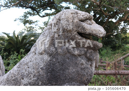 沖縄最古のシーサー富盛の石彫獅子　沖縄県八重瀬町 105606470