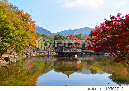 秋　奈良公園　浮見堂 105607164