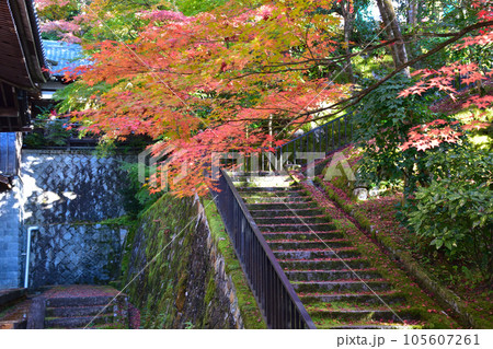 秋　永観堂　 105607261