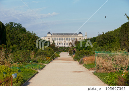 Jardin des Plantes in Paris Jardin des Plantes in Paris 105607365