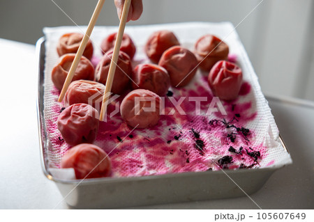 家庭で自家製梅干を漬けているところ 105607649