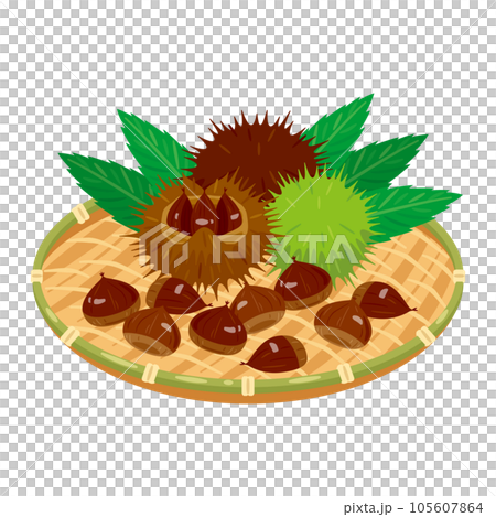 Chestnuts on a bamboo basket 2 Chestnuts on a bamboo basket 2 105607864