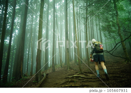 霧に包まれる森と登山者 霧に包まれる森と登山者 105607931
