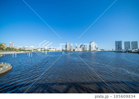 日本の東京都市景観　相生橋から中の島公園（画面左）や東京海洋大学、豊洲水門、屋形船(新浪）などを望む 105609834