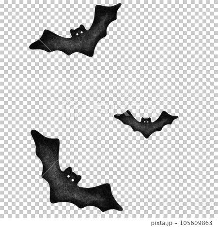 bat halloween 105609863