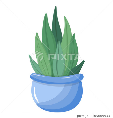 Colorful potted plants Colorful potted plants 105609933
