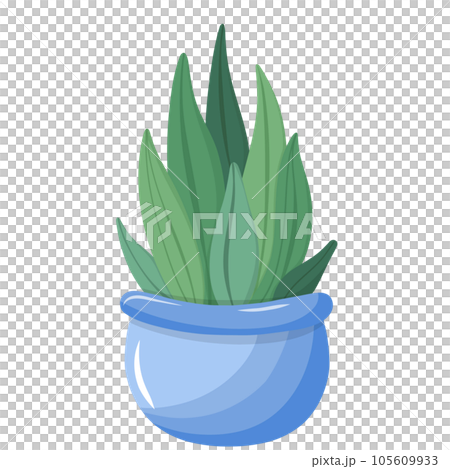 Colorful potted plants Colorful potted plants 105609933