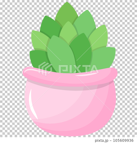 Colorful potted plants Colorful potted plants 105609936