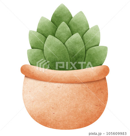 Potted plants painted with watercolors Potted plants painted with watercolors 105609983