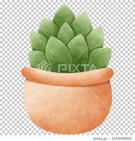 Potted plants painted with watercolors Potted plants painted with watercolors 105609983