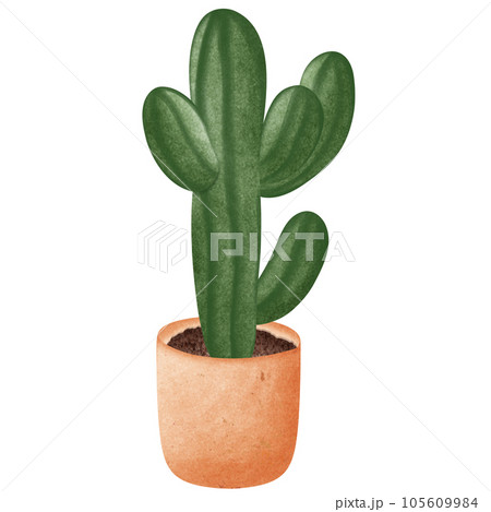 Potted plants painted with watercolors 105609984