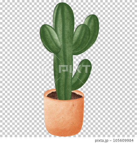Potted plants painted with watercolors 105609984