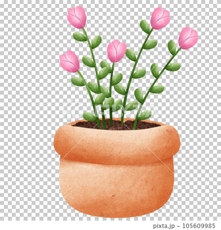 Potted plants painted with watercolors Potted plants painted with watercolors 105609985
