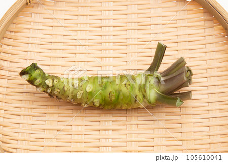 ワサビ（本わさび）　 105610041