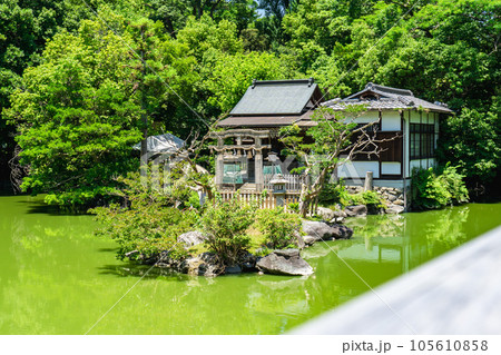 京都市上京区の京都御苑内の嚴島神社　九條池から見る唐破風鳥居 105610858
