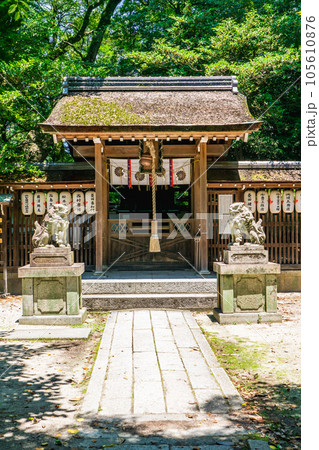 京都市上京区の京都御苑内の宗像神社 本殿 京都市上京区の京都御苑内の宗像神社 本殿 105610876