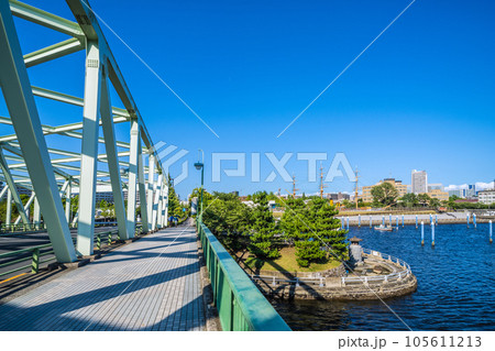 日本の東京都市景観 相生橋たもとの江東区立「中の島公園」や東京海洋大学越中島キャンパスなどを望む 日本の東京都市景観 相生橋たもとの江東区立「中の島公園」や東京海洋大学越中島キャンパスなどを望む 105611213