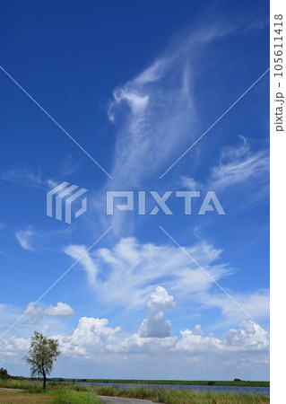 夏の青空と白い雲 夏の青空と白い雲 105611418