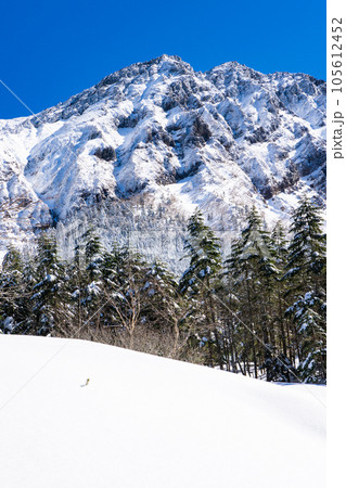 長野県の八ヶ岳雪山登山 行者小屋から見る横岳 長野県の八ヶ岳雪山登山 行者小屋から見る横岳 105612452
