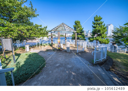 日本の東京都市景観 相生橋たもとの江東区立「中の島公園」などを望む（画面右奥は豊洲） 105612489