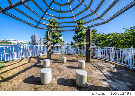 日本の東京都市景観 相生橋たもとの江東区立「中の島公園」などを望む（画面奥は豊洲） 105612493