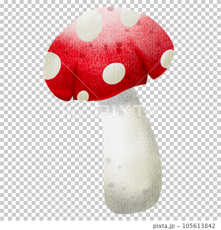 Mushroom  105613842