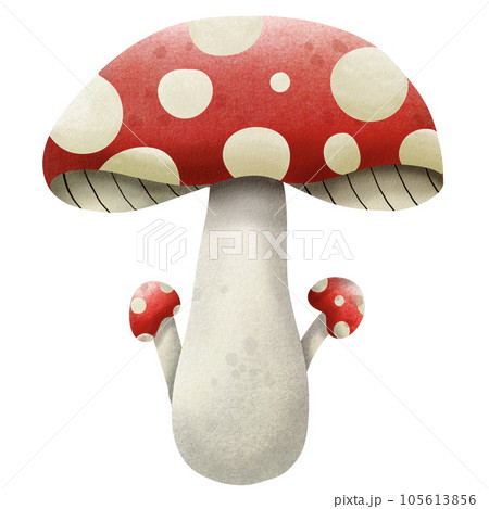 Mushroom Mushroom 105613856