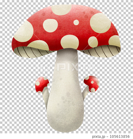 Mushroom Mushroom 105613856