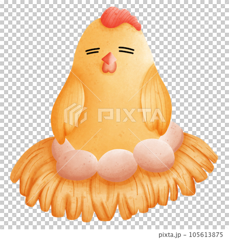 Chicken Chicken 105613875