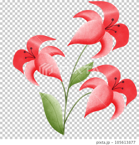 Flower Flower 105613877