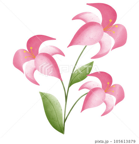 Flower  105613879
