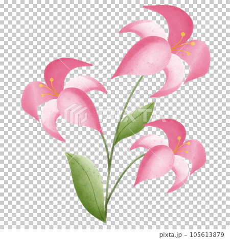 Flower Flower 105613879